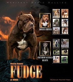 CURRENT FEMALE OFF IVY❌KODAK