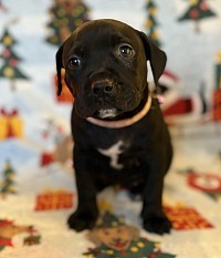 Keeper Female price can be discussed